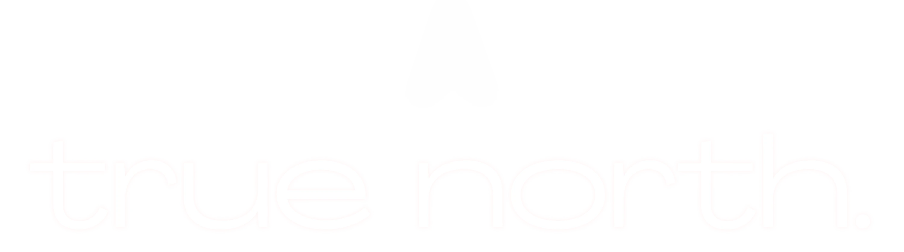 True North Logo